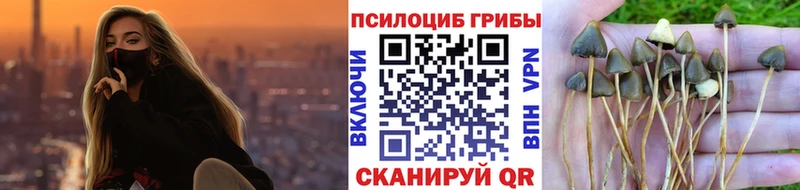 Галлюциногенные грибы MAGIC MUSHROOMS Няндома